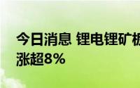 今日消息 锂电锂矿板块继续走高，融捷股份涨超8%