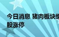 今日消息 猪肉板块继续走强，牧原股份等多股涨停