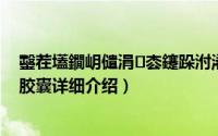 鑿茬壒鐗岄儙涓枩鑳跺泭浠锋牸简介（关于菲特牌郎中喜胶囊详细介绍）