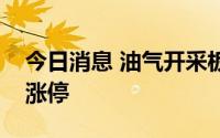 今日消息 油气开采板块震荡走强，蓝焰控股涨停