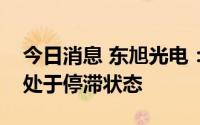 今日消息 东旭光电：机器人产业园项目暂时处于停滞状态