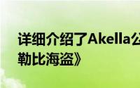 详细介绍了Akella公司开发的单机游戏《加勒比海盗》