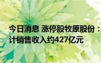 今日消息 涨停股牧原股份：上半年销售生猪3128万头，累计销售收入约427亿元