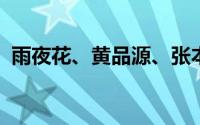 雨夜花、黄品源、张本禹主演的电视剧详解