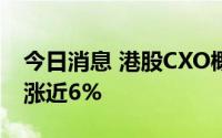 今日消息 港股CXO概念板块拉升，昭衍新药涨近6%