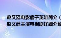 赵又廷电影痞子英雄简介（关于痞子英雄 2009年周渝民、赵又廷主演电视剧详细介绍）