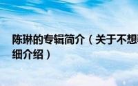 陈琳的专辑简介（关于不想骗自己 陈琳2003年发行专辑详细介绍）