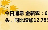 今日消息 金新农：6月生猪销量合计13.18万头，同比增加12.78%