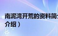 南泥湾开荒的资料简介（关于宁南大地网详细介绍）