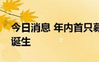 今日消息 年内首只募资超百亿主动权益基金诞生