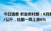 今日消息 农业农村部：6月第5周全国猪肉平均价格28.17元/公斤，比前一周上涨6%