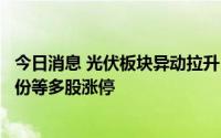 今日消息 光伏板块异动拉升，长高电新、雅博股份、赣能股份等多股涨停