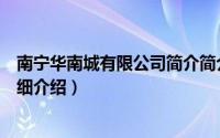 南宁华南城有限公司简介简介（关于南宁华南城有限公司详细介绍）