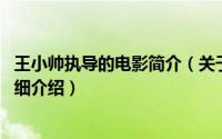 王小帅执导的电影简介（关于王小帅 华语影视导演、编剧详细介绍）