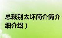 总裁别太坏简介简介（关于总裁太坏谁的错详细介绍）