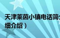 天津莱茵小镇电话简介（关于天津莱茵小镇详细介绍）