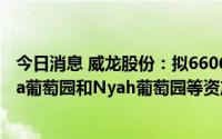 今日消息 威龙股份：拟6606.6万元出售澳大利亚Coomealla葡萄园和Nyah葡萄园等资产