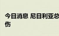 今日消息 尼日利亚总统先遣车队遇袭，2人受伤