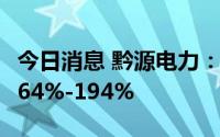 今日消息 黔源电力：上半年净利润同比预增164%-194%