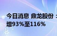 今日消息 鼎龙股份：预计上半年净利润同比增93%至116%