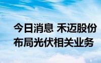 今日消息 禾迈股份：间接投资新能源公司，布局光伏相关业务