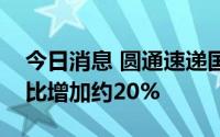 今日消息 圆通速递国际：上半年纯利预期同比增加约20%