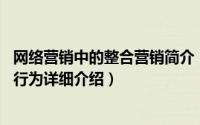 网络营销中的整合营销简介（关于网络整合营销 企业和市场行为详细介绍）