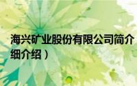 海兴矿业股份有限公司简介（关于海兴华鑫矿业有限公司详细介绍）