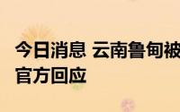 今日消息 云南鲁甸被指限制中考生选报志愿，官方回应