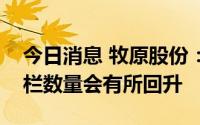 今日消息 牧原股份：预计下半年能繁母猪存栏数量会有所回升