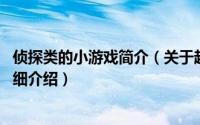 侦探类的小游戏简介（关于超级小侦探 一款休闲类小游戏详细介绍）