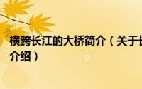 横跨长江的大桥简介（关于长江大桥 长江干流上的桥梁详细介绍）