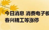 今日消息 消费电子板块大幅拉升，国光电器、春兴精工等涨停