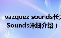 vazquez sounds长大后简介（关于Vazquez Sounds详细介绍）