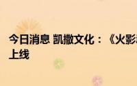 今日消息 凯撒文化：《火影忍者：巅峰对决》确定今年无法上线