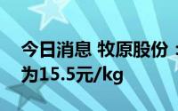 今日消息 牧原股份：公司现阶段完全成本约为15.5元/kg