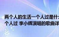 两个人的生活一个人过是什么歌简介（关于两个人的生活一个人过 李小辉演唱的歌曲详细介绍）