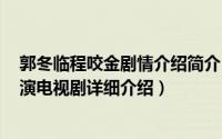 郭冬临程咬金剧情介绍简介（关于程咬金 2001年郭冬临主演电视剧详细介绍）