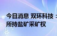 今日消息 双环科技：拟2.35亿购买控股股东所持盐矿采矿权