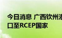 今日消息 广西钦州港区首批工程车辆整车出口至RCEP国家