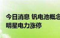 今日消息 钒电池概念股再度走强，河钢股份、明星电力涨停