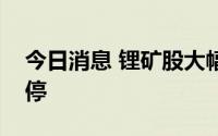 今日消息 锂矿股大幅调整，天齐锂业触及跌停