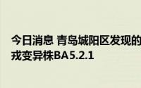 今日消息 青岛城阳区发现的1例确诊病例病毒溯源为奥密克戎变异株BA5.2.1