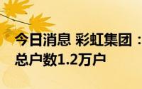 今日消息 彩虹集团：截至7月8日，公司股东总户数1.2万户