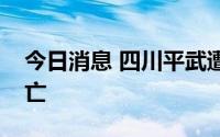 今日消息 四川平武遭遇暴雨突袭，有人员伤亡