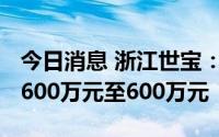 今日消息 浙江世宝：预计上半年净利润约为-600万元至600万元