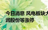 今日消息 风电板块大幅走高，大金重工、恒润股份等涨停