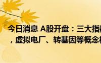 今日消息 A股开盘：三大指数涨跌不一，上证指数跌0.19%，虚拟电厂、转基因等概念板块领跌