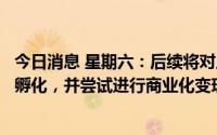 今日消息 星期六：后续将对虚拟人IP孔襄继续投入一定力量孵化，并尝试进行商业化变现