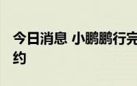 今日消息 小鹏鹏行完成超1亿美元A轮融资签约